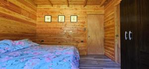 Casa Verde - 3hvězdičkové hotely ve městě Coñaripe