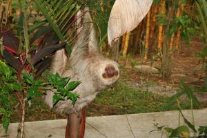 Hotel Clandestino beach resort