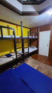 Screaming Gecko Hostel