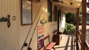 Swingalong Eildon - 艾尔登