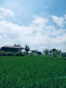 Opik Homestay Tete Batu - Sapit