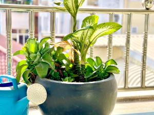 RS Central Apartments - 200m to Royal Palace