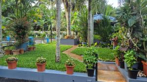 Grace Home Stay by THE ATARAXIA