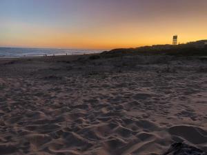 Shore Enuff - Ocean and Garden View