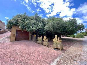 Shore Enuff - Ocean and Garden View