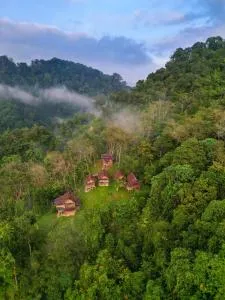 ORANG UTAN TREKING SUMATRA & LOVELY JUNGLE LODGE only book IF you are treking with us - Kualagemoh