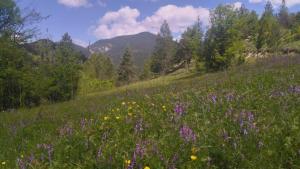 Gîte du bout du monde La Bergerie