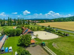 Gyulavezér Lovasbirodalma - 格拉克斯兹