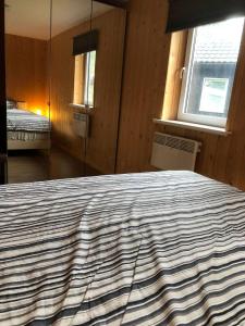 Bungalow Lijsterbes | 4 personen