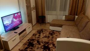 Beautiful renovated apartment