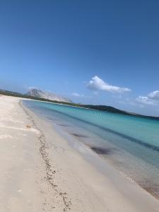 C17 Villaggio Asfodeli img20