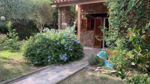 C17 Villaggio Asfodeli img40