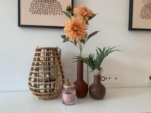 Casa Tierra Torrievieja close to the beach Playa del Cura