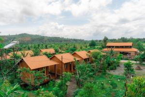 Homestay Dream hill