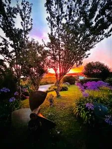 Moana Lakeview Chalet - 阿瑟山口