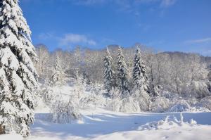Chalets CHALET, GITE DE GROUPE - ATC ROUTES DU MONDE a BUSSANG - 32 couchages : photos des chambres