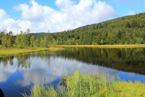 CHALET, GITE DE GROUPE - ATC ROUTES DU MONDE à BUSSANG - 32 couchages