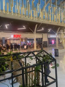 Sejours chez l'habitant YLt333 : photos des chambres