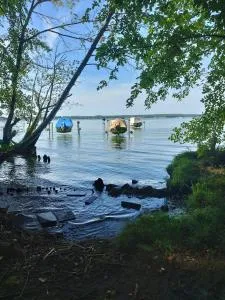 Bungalow am Schwielochsee 1 - Speichrow