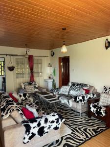 Mountain View Cottage - Nature at Best!