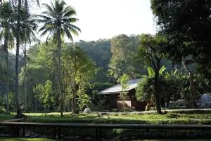 Mywella - Ban Pang Champi