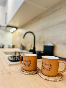 Central Grand Apartment