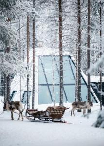 Glass Resort
