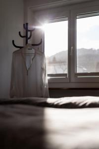 Ferien im Paradies - Wohnung Prima