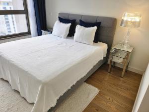 Hajdana lux Belgrade Waterfront