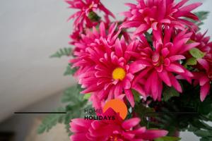 #278 Fonte dos Leoes by Home Holidays