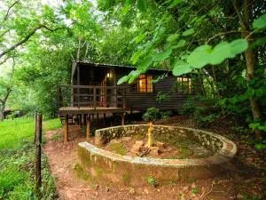 Buhleni Farm Chalets - Nkanni