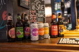 Dolphin Hotel - 锡顿