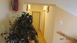 Nest Guesthouse-House for 16 people by the lake