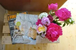 Fewo Moonshine 79 - St. Blasien