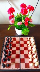 Serene Escape, Chic & Cozy Chess