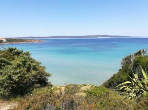 A window on the saline beach img11