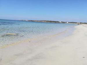 A window on the saline beach img18