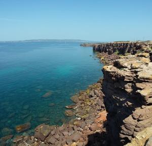 A window on the saline beach img24