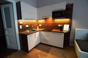 Classic Studio room in Apartments-in-vienna
