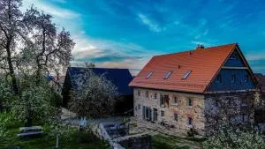 Dwie Brzozy wegetariańskie siedlisko - Przezdziedza