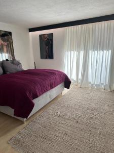 Modern renovierte Ferienwohnung mit Kunstambiente