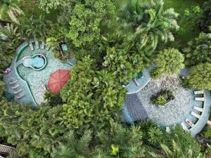 Paradise Hot Springs - Guaria