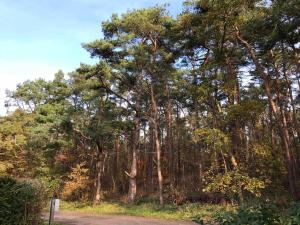 Ferienhaus Sonnenschein in Breege