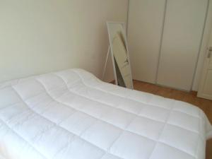 Grand appartement T2 proche plage avec wifi, ascenseur et cuisine équipée - FR-1-197-135