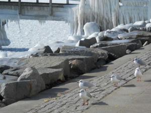 Villa Monique in Alt-Sassnitz