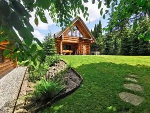 Willa nad Potokiem - 安德雷胡夫