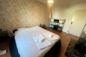 Maisons de vacances Superbe appartement 4 pers Blotzheim Near Basel : photos des chambres