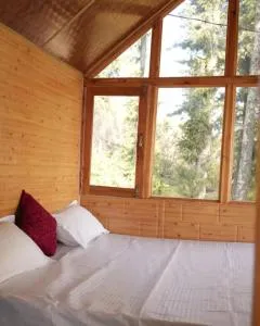 Seobagh Cottage - Nārkanda