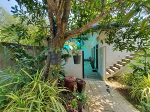 New Happy House Mirissa