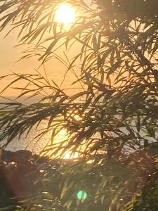 真鶴個室101移住希望者激安マンスリー駅徒歩6分Atami Hakoneも近いゲストハウス真鶴